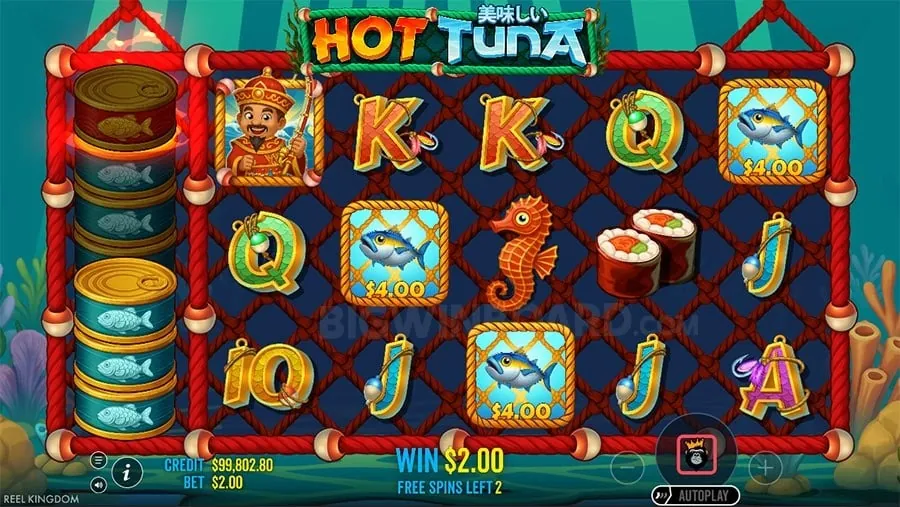 Nustar Live Casino